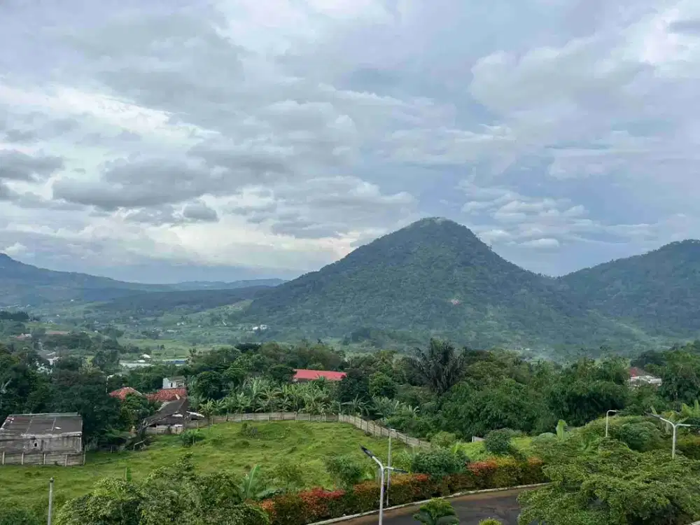 jual tanah puncak  tanah SHM