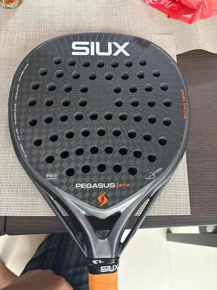 SIUX pegasus pro 2026
