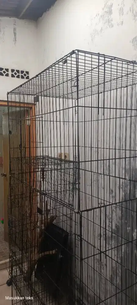 Kandang Besi Besar ukT165&T200