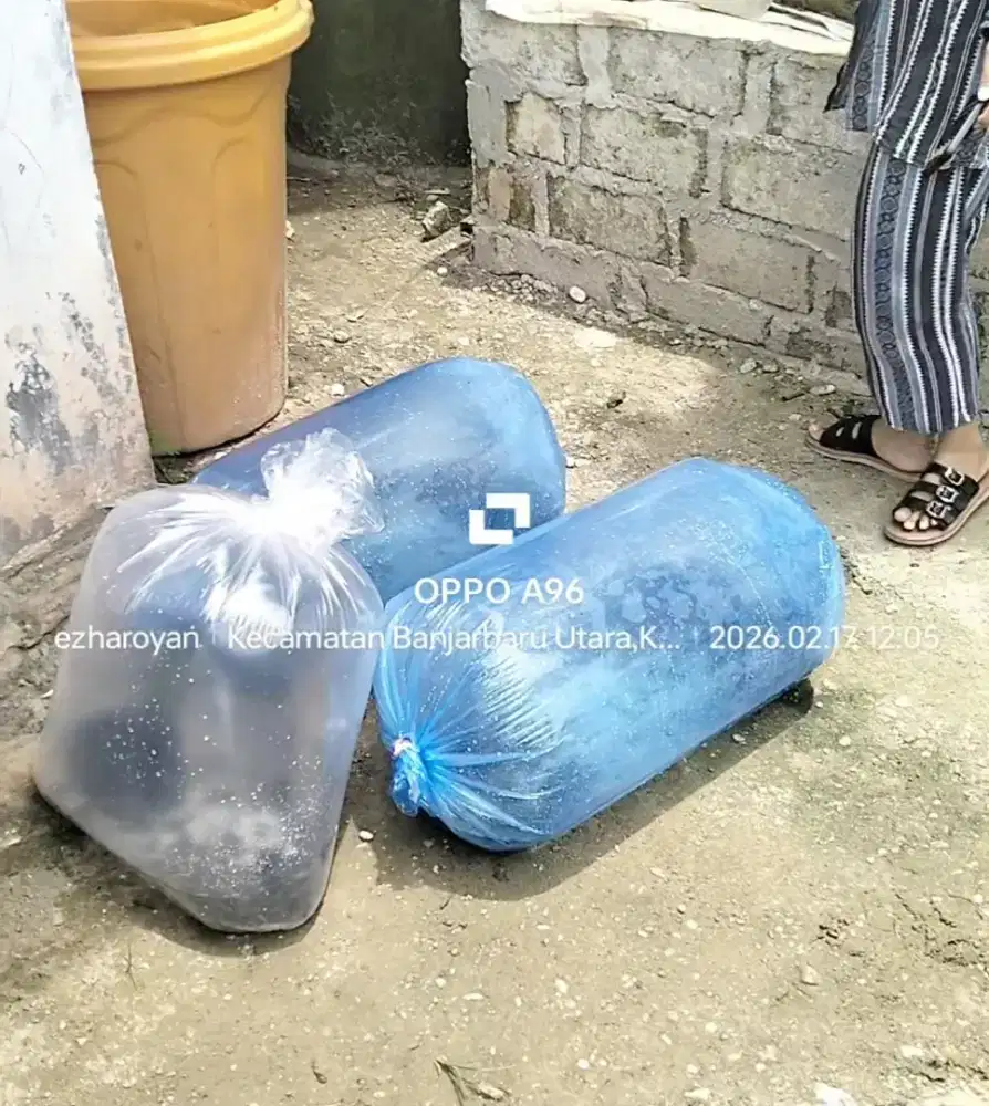 lele super ,banjar baru loktabat utara