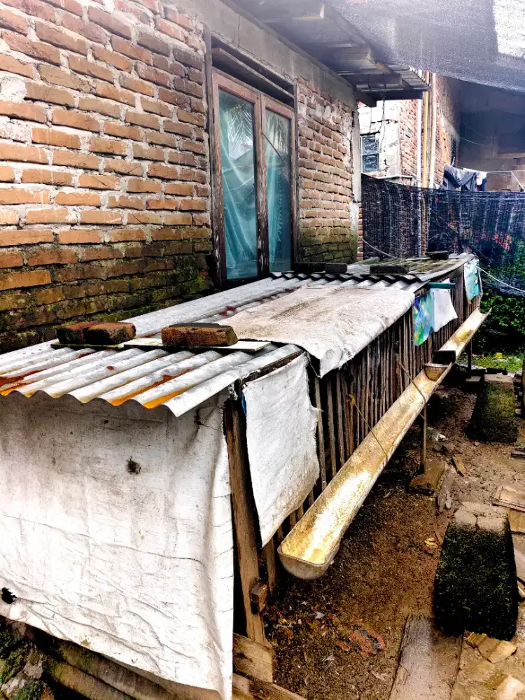 Kandang ayam 4 pintu