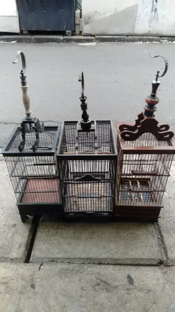 Borongan kandang burcil murah