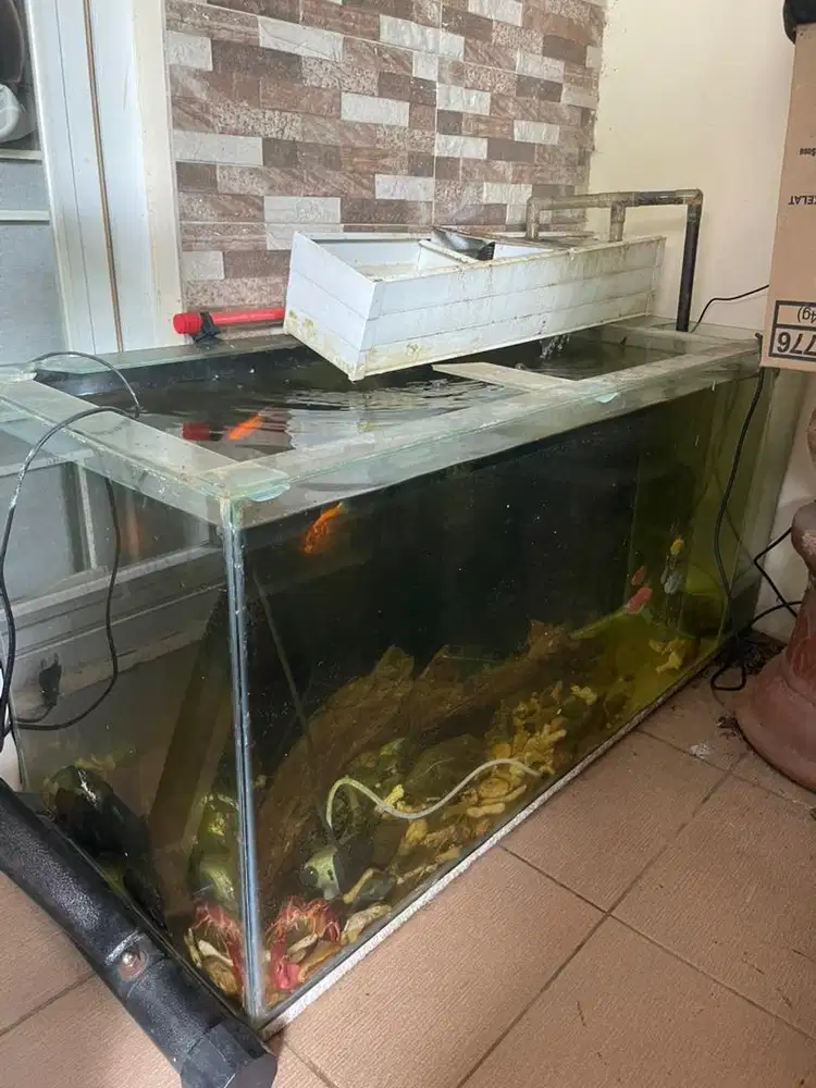 Aquarium ikan hias