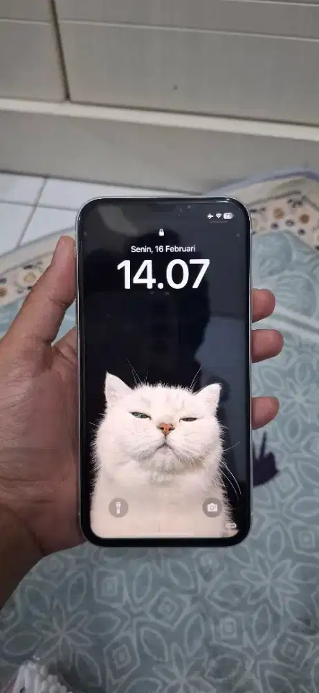 Iphone Xr Ibox 128 Gb Lengkap