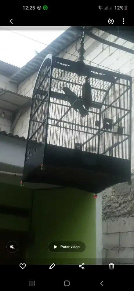 Jual aj harian gacor fulset