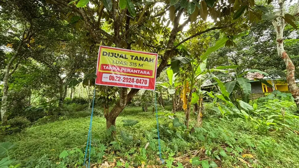 DIJUAL TANAH DI PAKINTELAN TANPA PERANTARA