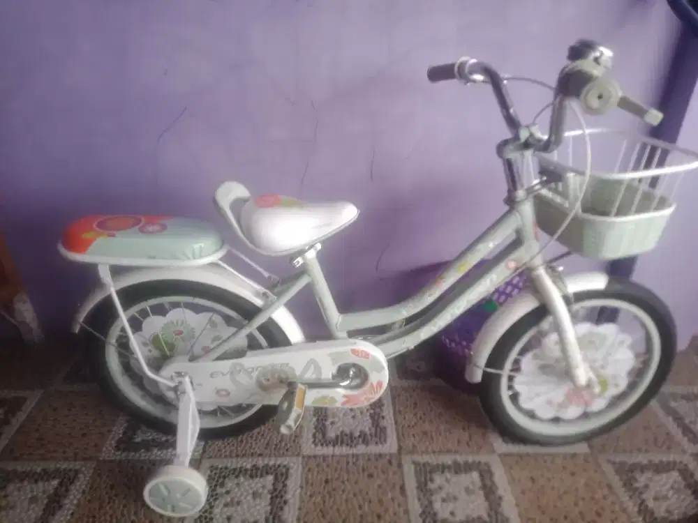 Sepeda anak eveergrend