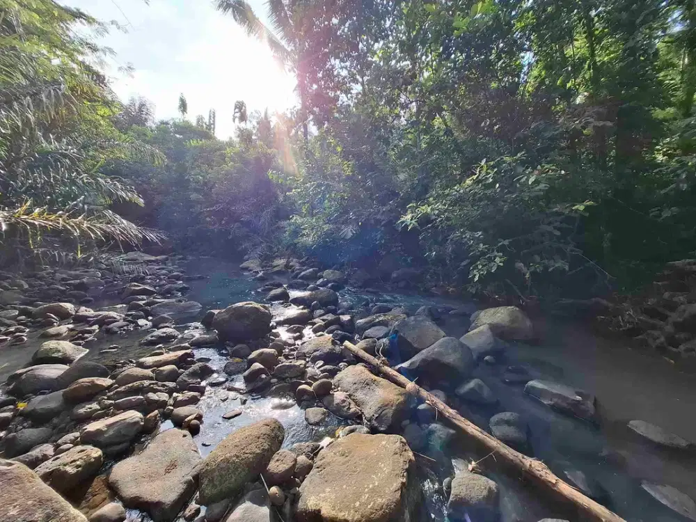 dijual tanah kebun los sungai view sawah dan gunung