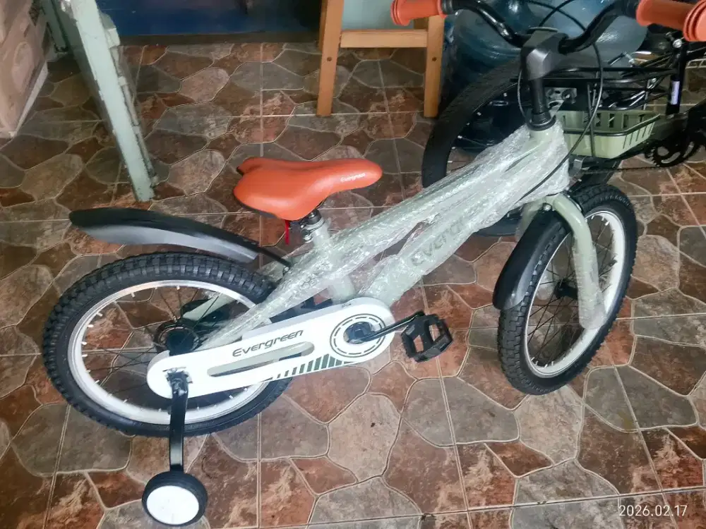 Evergreen sepeda anak anak