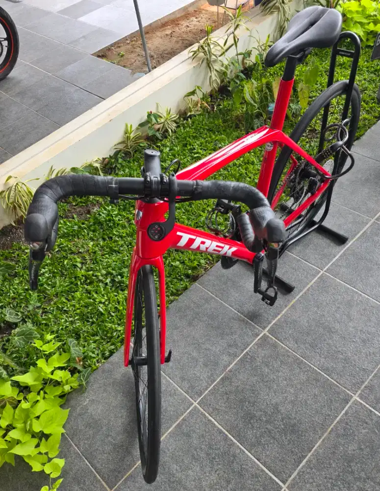 Sepeda Trek Domane SL6 | 500 Ocly Carbon