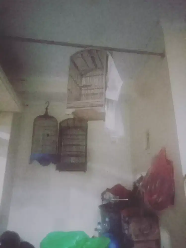 Kandang burung murah