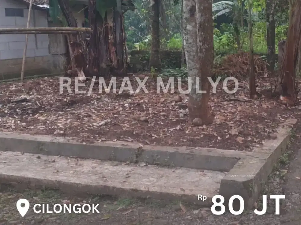 Dijual Murah Tanah Kavling Cocok untuk Hunian atau Usaha Area Cilongok