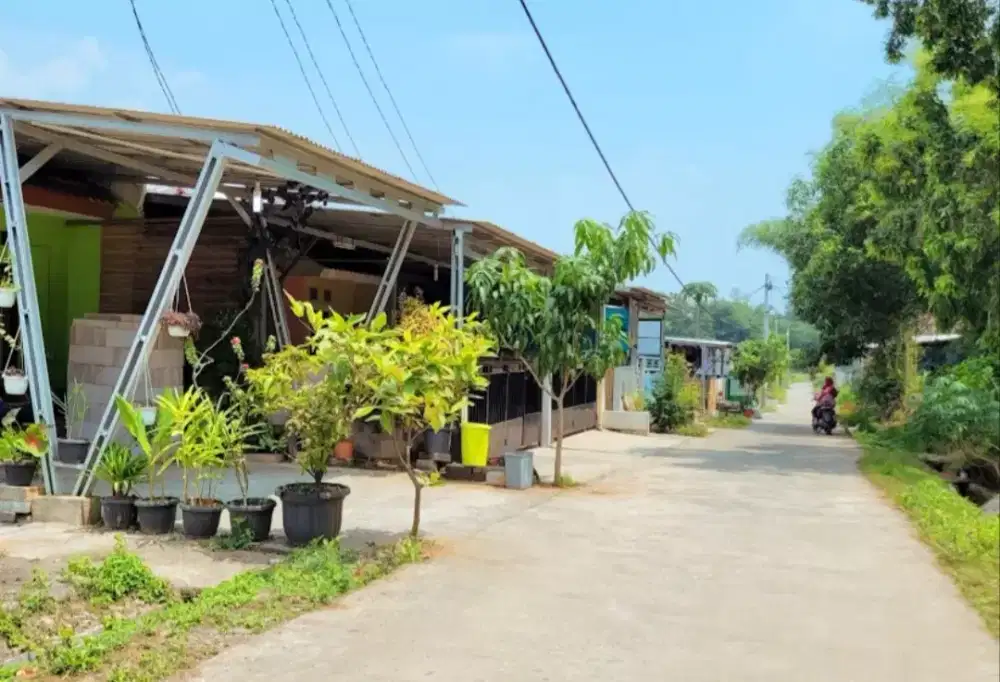 Loker Sales In House