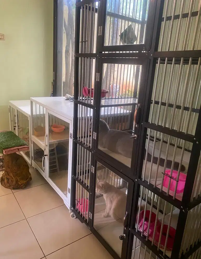 pet hotel penitipan kucing