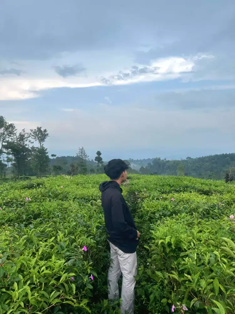 Mencari perkerjan modal ktp