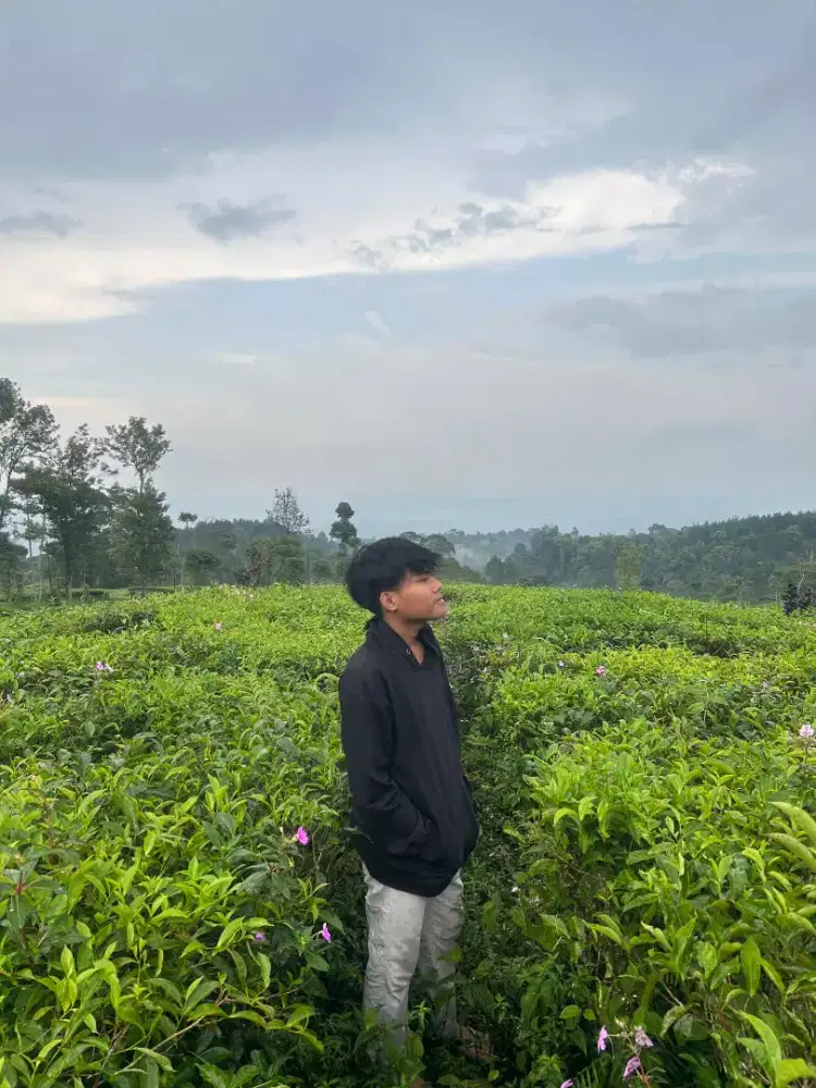 Cari kerjaan modal ktp