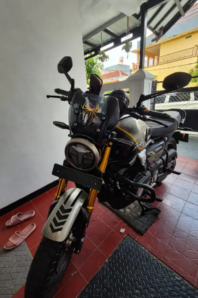 Tvs Ronin 225 (2024)