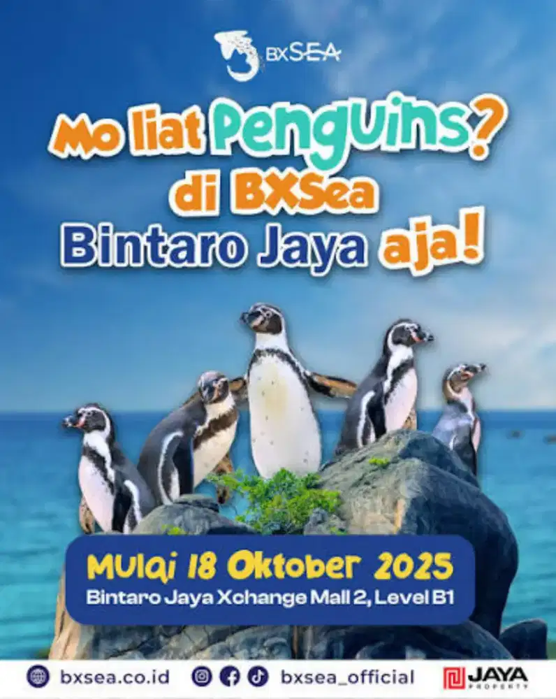 VOUCHER TIKET BXSEA XCHANGE