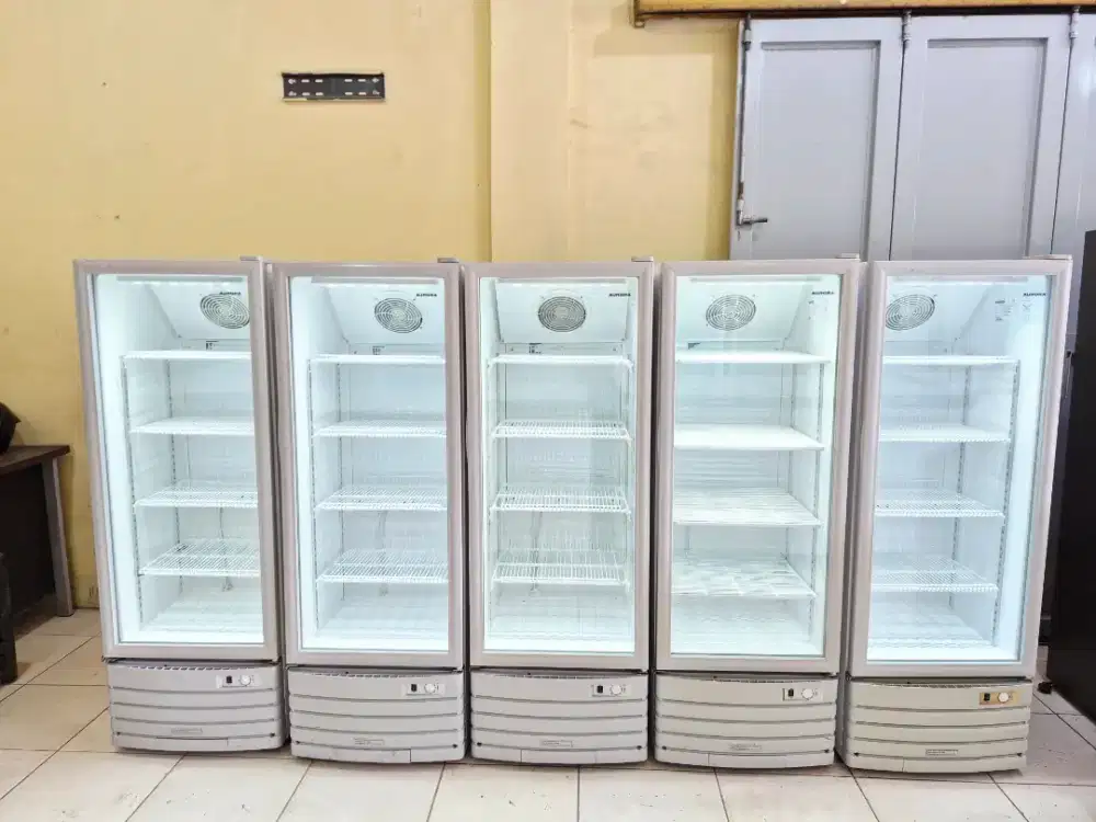 READY SHOWCASE AURORA 229L