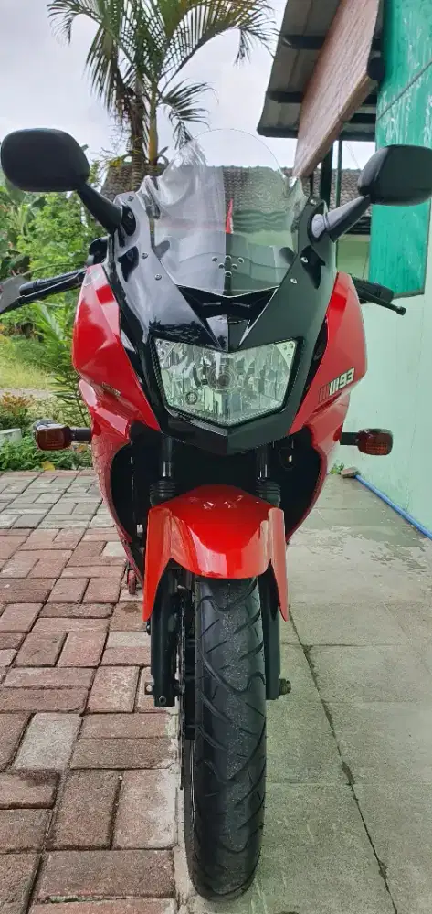 Kawasaki Ninja RR New Dragon