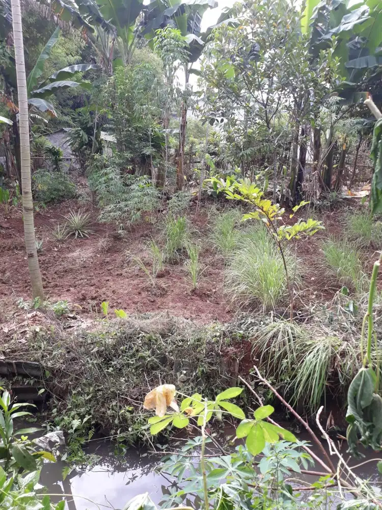 Jual cepat BU tanah 1026 m2 SHM di Parung-Bogor, tanpa perantara