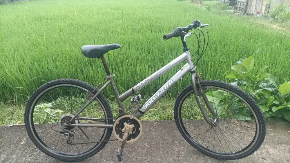 Polygon mendoca orisinil siap gowes