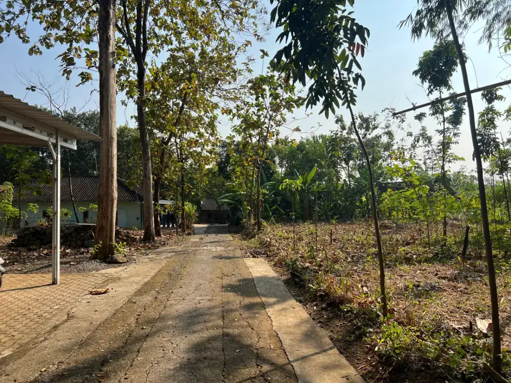 Pekarangan Siap Bangun 1544m 350Jt Kerjo, Solo