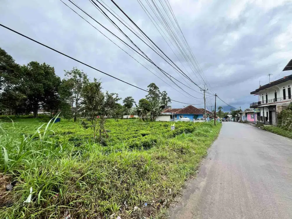 Tanah Premium Pinggir Jalan Pangalengan  Cocok untuk Vila, Usaha, atau Investasi