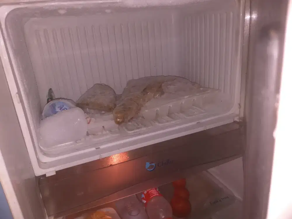 Kulkas rumahan low wat 50 w sgt dngin beku normal lengkap free lalamov