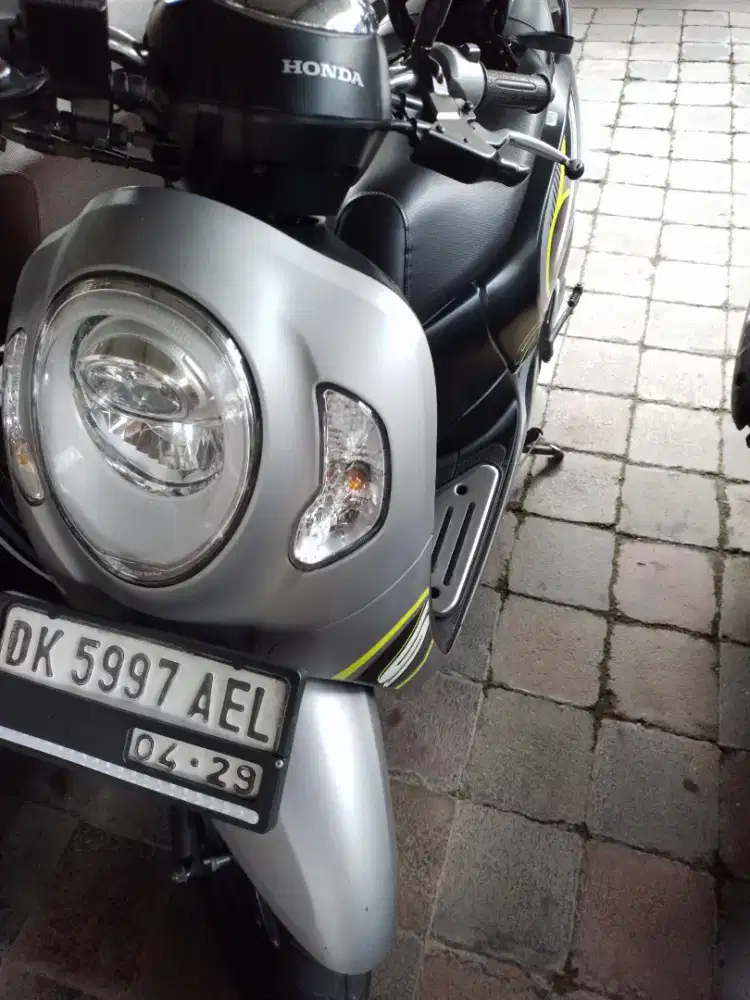 Scoopy tahun 2024 pajak hidup