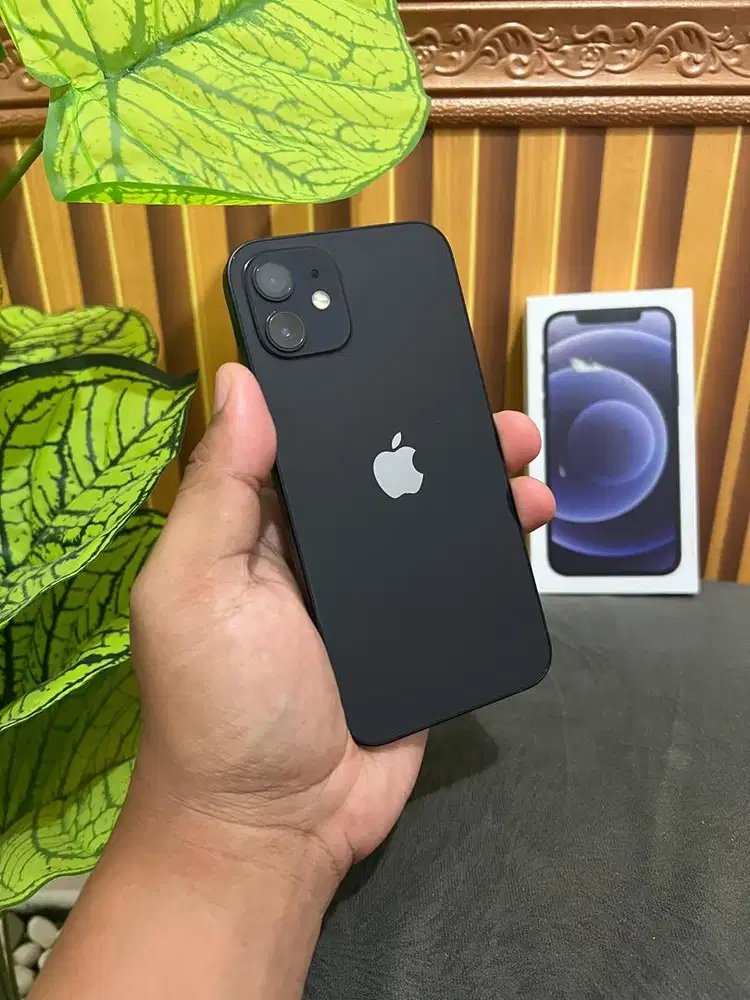 Iphone 12 256gb Inter