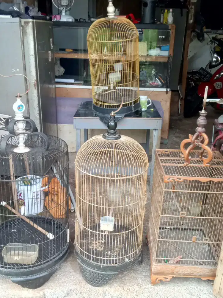 Jual kandang burung