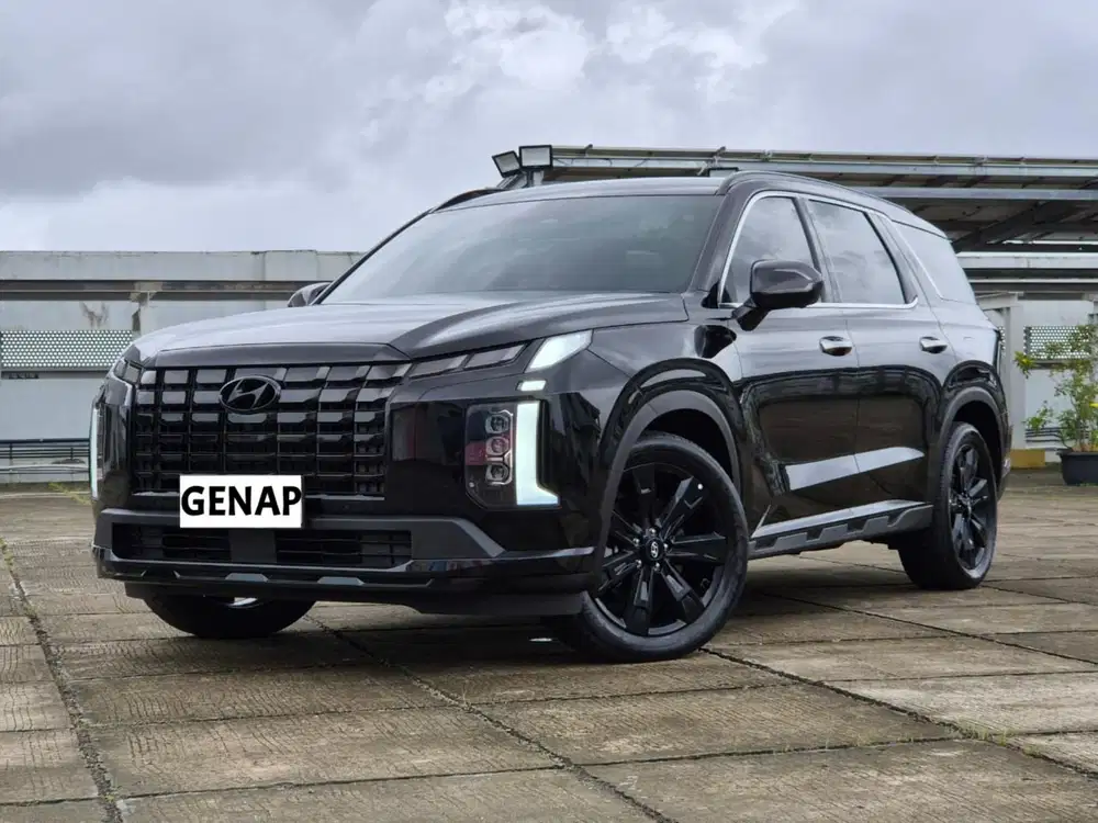 (Odo 6rb) Like New Palisade XRT Black Edition AT 2024 Tgn1 DP Bs 150jt