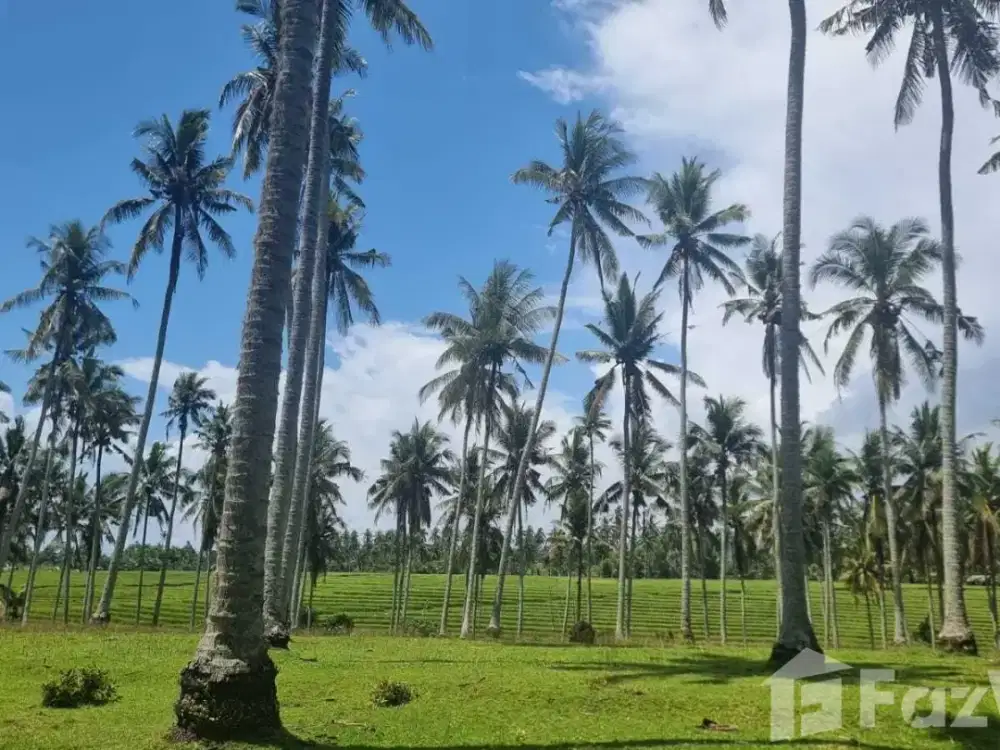 Land for sale in Selemadeg, Bali