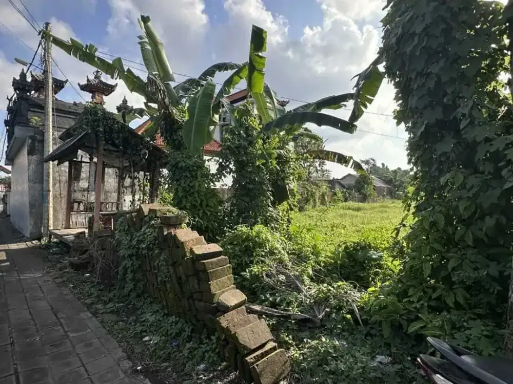Land for sale in Mengwi, Bali