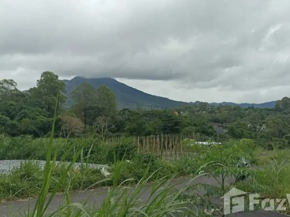 Land for sale in Kintamani, Bali