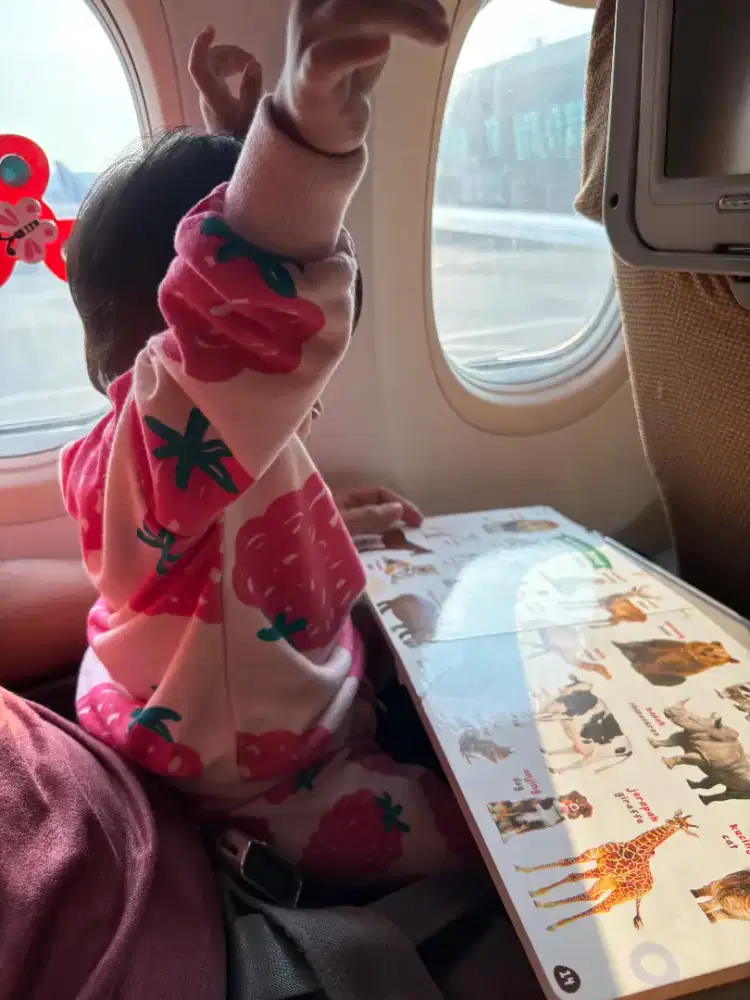 Pengasuh Anak 1tahun 4bulan