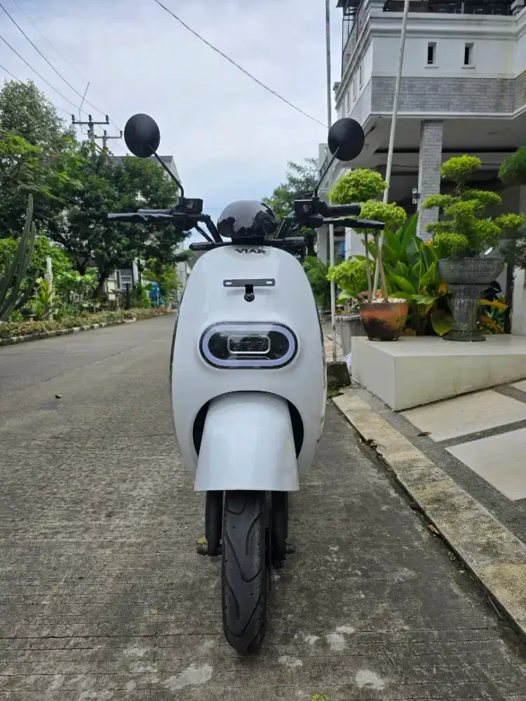 Viar Q1 L tahun 2024