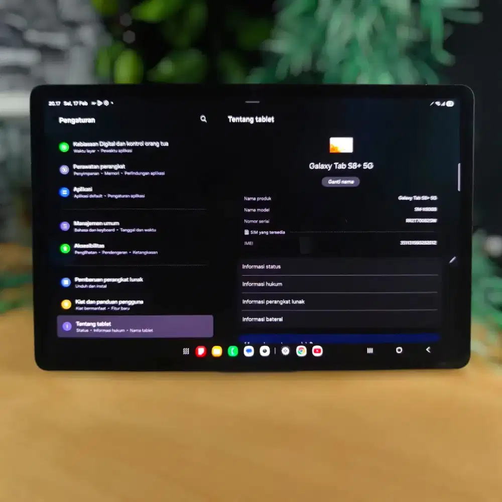 Samsung Galaxy Tab S8 + 5G Minus Garis kadang timbul tipis batangan