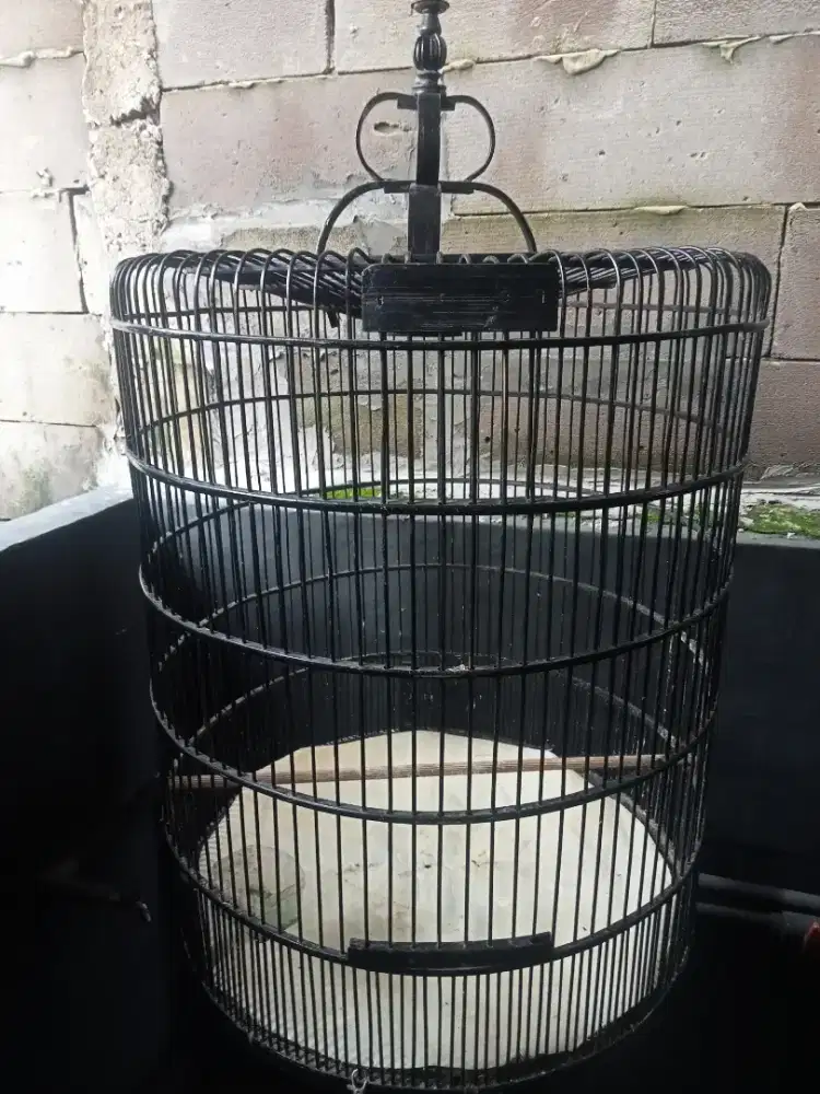 Kandang burung murai