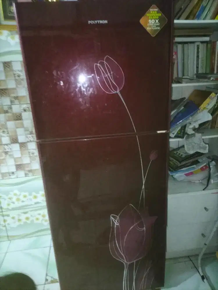 kulkas polytron 2 pintu