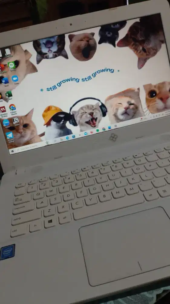 JUAL CEPAT EDISI (BU) BUAT BAYAR UKT KULIAH