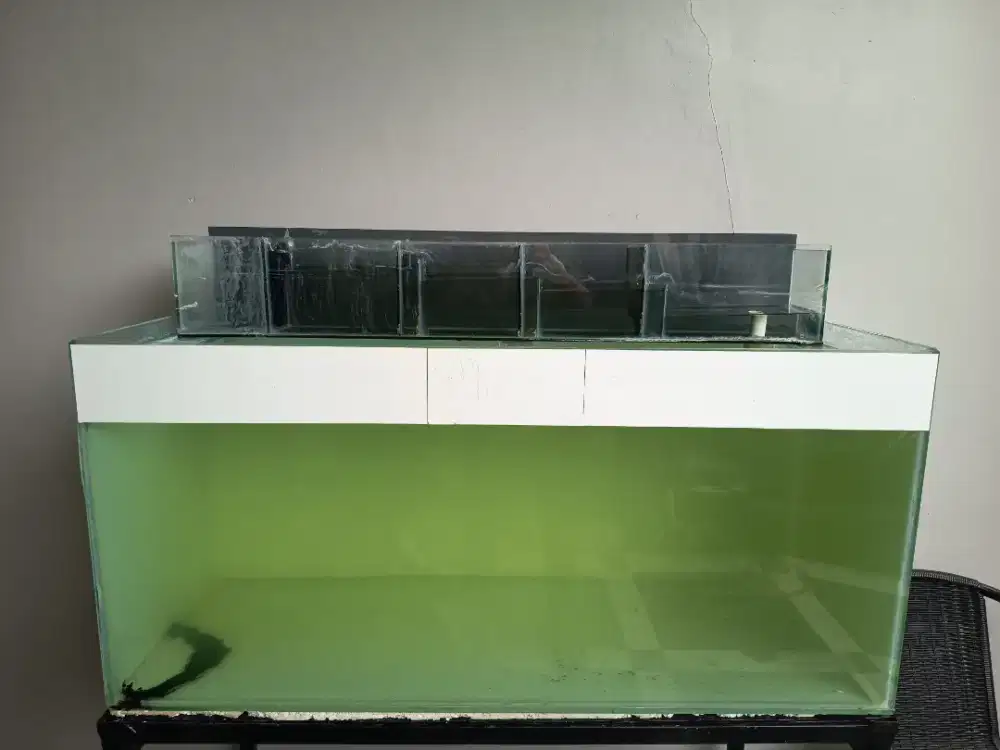 Aquarium / akuarium 110/50/50 + top filter