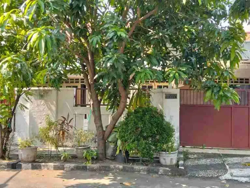 Dijual Rumah Rungkut Asri
