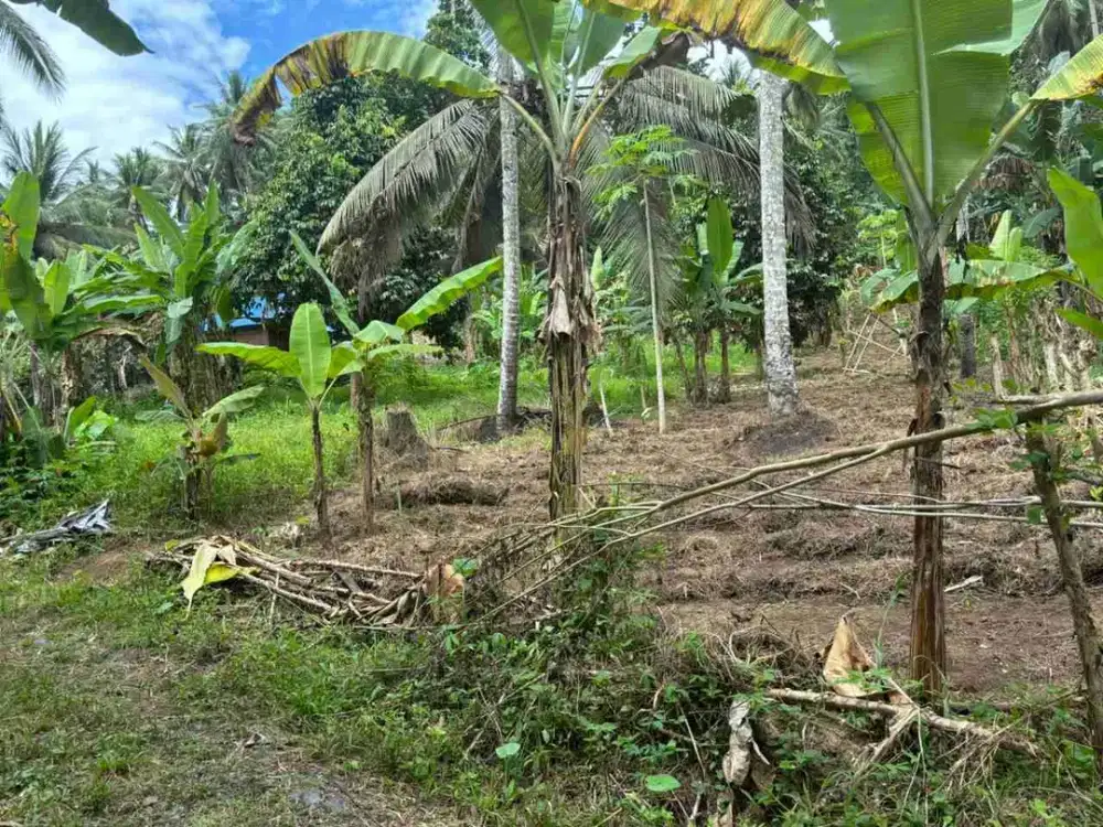 DIJUAL CEPAT TANAH MENARIK DAERAH MAPANGET, HARGA SANGAT MURAH