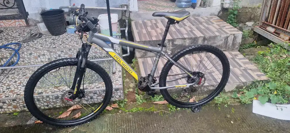 Sepeda Polygon monarch 5