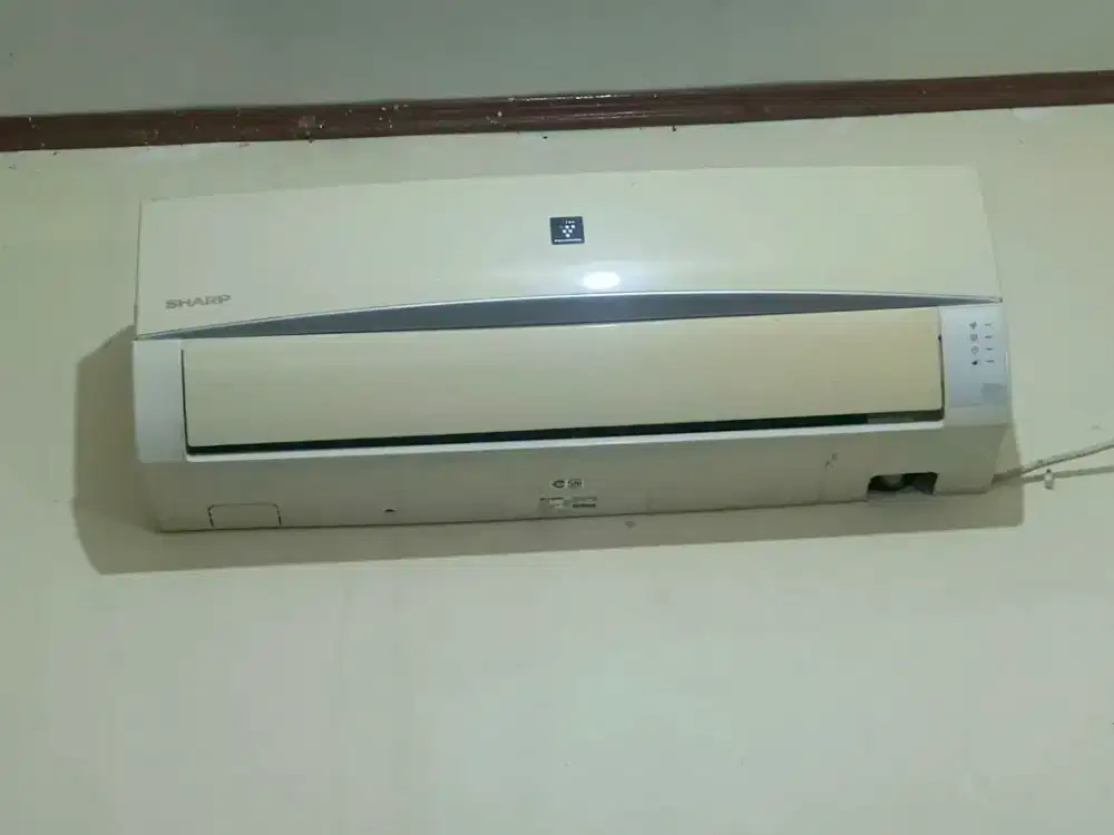 AC Sharp Thailand 1/2pk