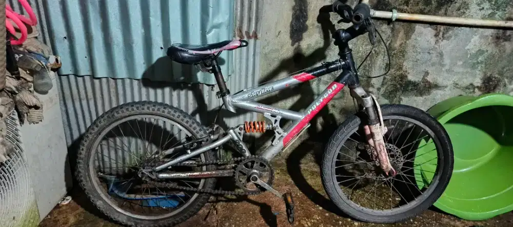 Sepeda anak siap pake sekolah