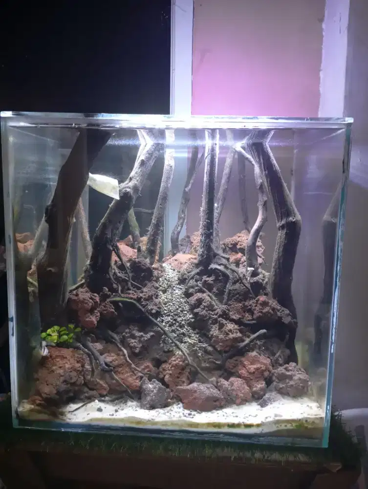 Aquascape 40x40x40