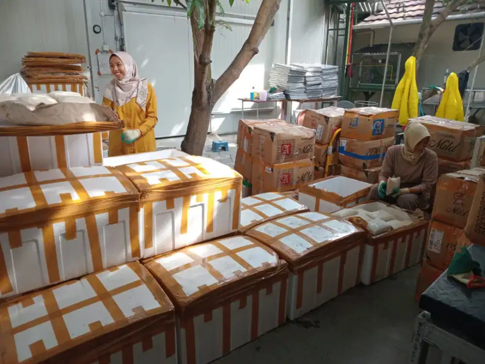 Pusat Grosir Daging Durian